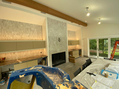 BX12 Stealth Acoustics Invisible Speaker Wood Enclosure